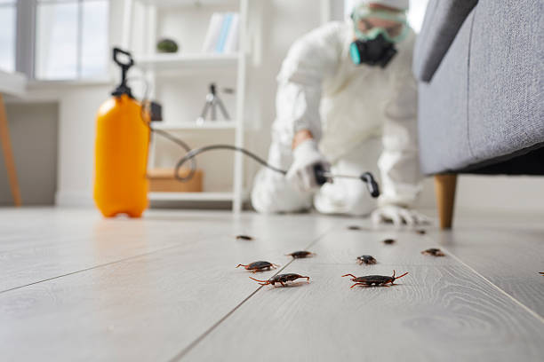 Post-Treatment Bed Bug Interceptor Monitoring in Lagrange