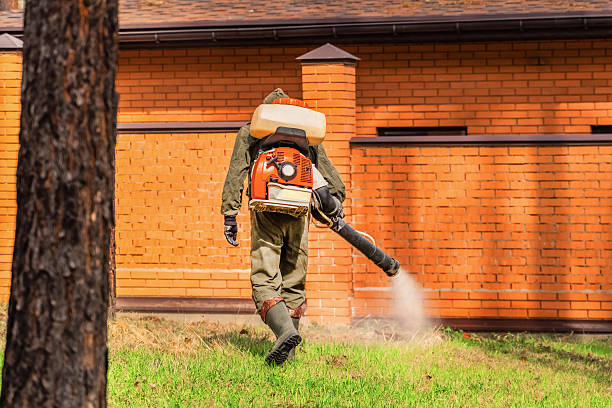 Bed Bug Clearance Verification and Documentation in Lagrange